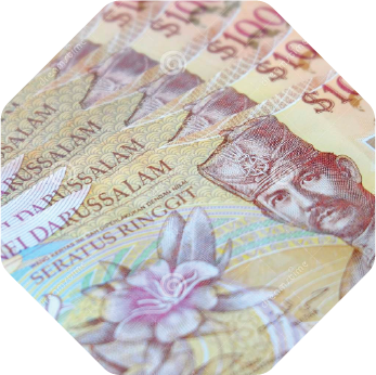 Circulation Notes