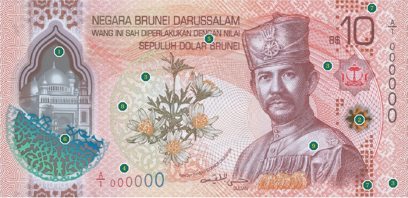 BND10 note