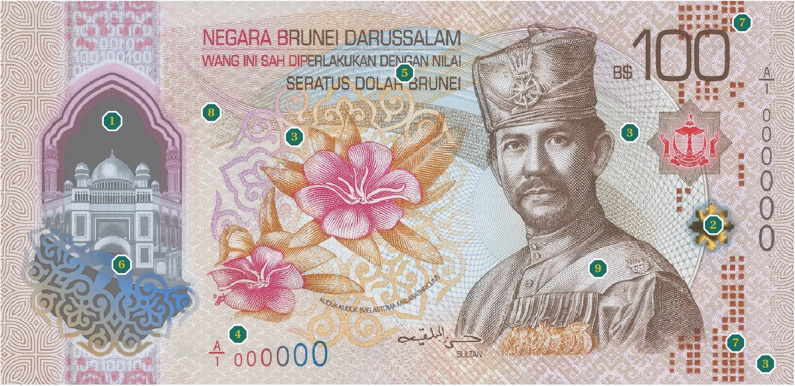 BND100 note