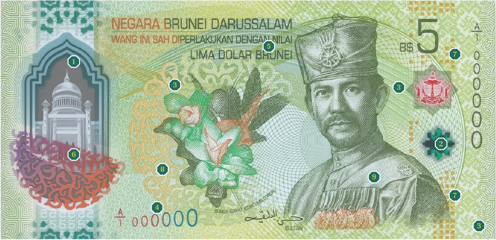 BND5 note